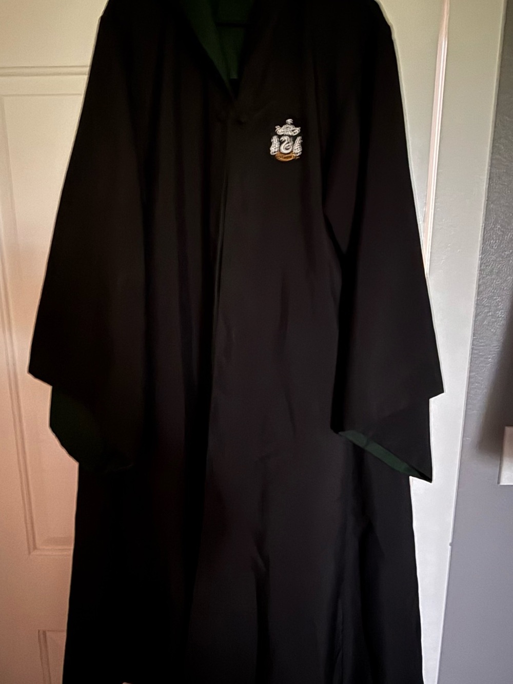 Black Wizard Robe with Green Lining